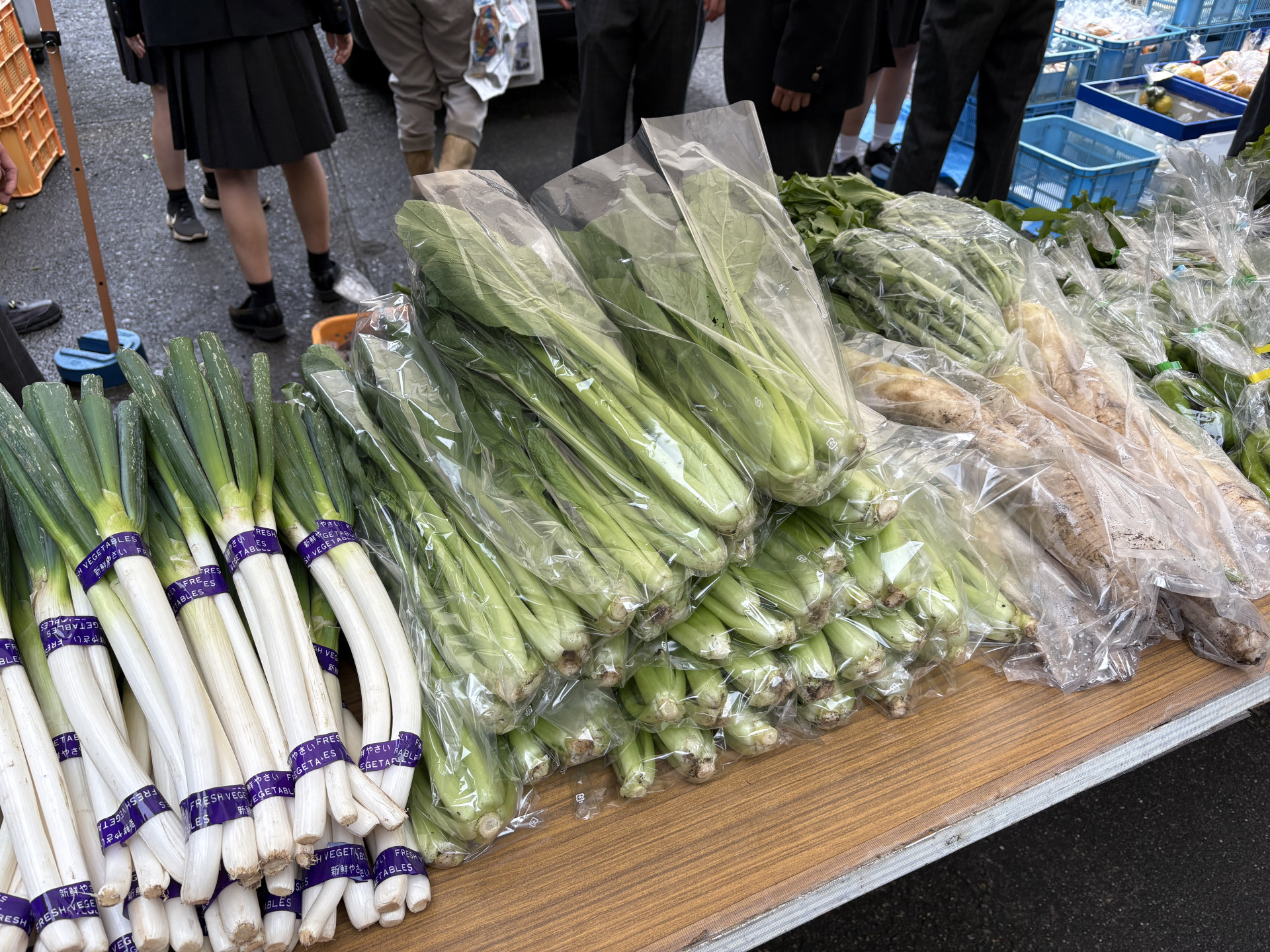 画像 -20251101-002525-02bdbaf8